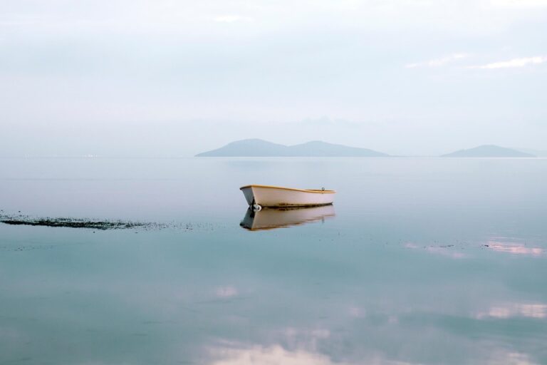 Discover the Nordic Community Poised to Become the Next Longevity Blue Zone