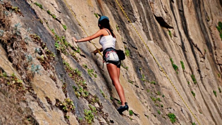 Bulgarian government resigns after mass protests – Al Jazeera