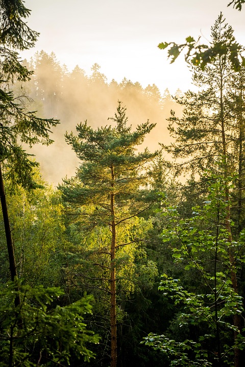 Tragic Ski Accident Claims Life of School Teacher in Front of Students at Austrian Resort