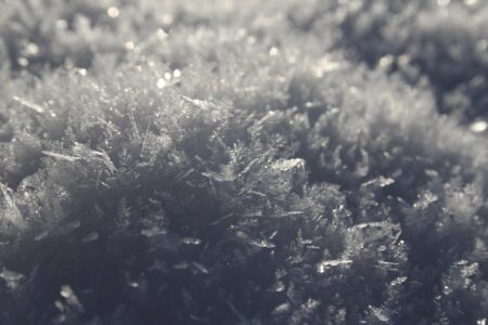 Denmark Set to Drastically Limit Social Media Access for Young People