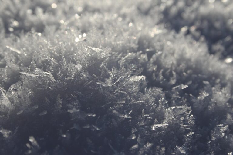 Denmark Set to Drastically Limit Social Media Access for Young People