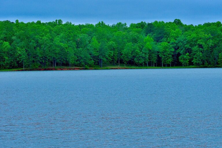 Georgia Launches Sweeping Crackdown on Dissent Amid Opposition Boycott of Local Elections – Striking Photos Reveal the Tension