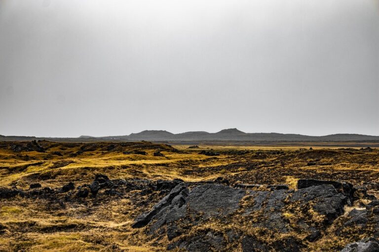 Ex-Olympic Swimmer Sharron Davies and Iceland Boss Richard Walker Join the House of Lords