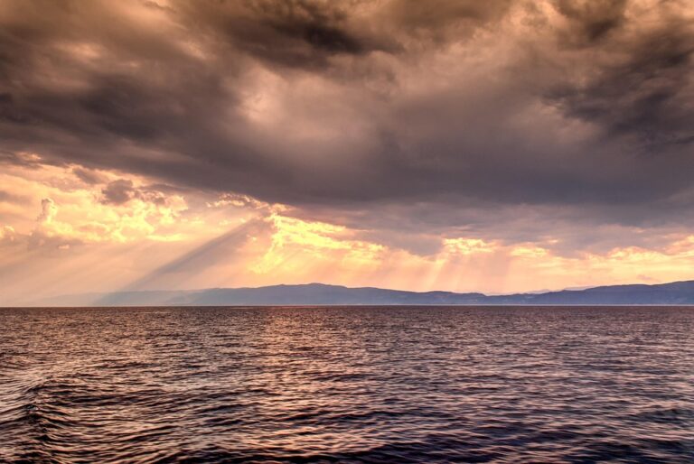 Artificial Intelligence Meets Real Politics: How Albania’s AI Minister Could Shape Its EU Accession Journey