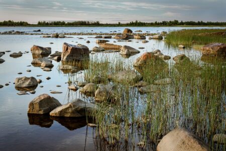 President Zardari congratulates Finland on its 108th Independence Day, vows stronger bilateral ties – Dunya News