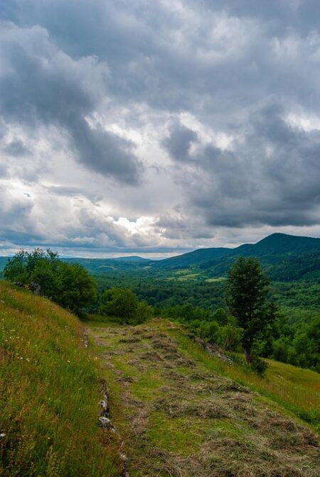 Empowering Communities: The Congress of Local and Regional Authorities in Bosnia and Herzegovina