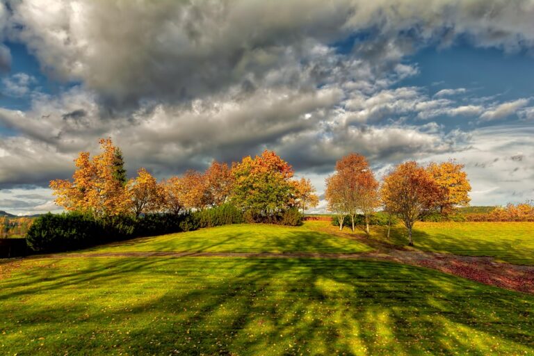 Norway’s 2026 World Cup Group Stage Matchups Revealed