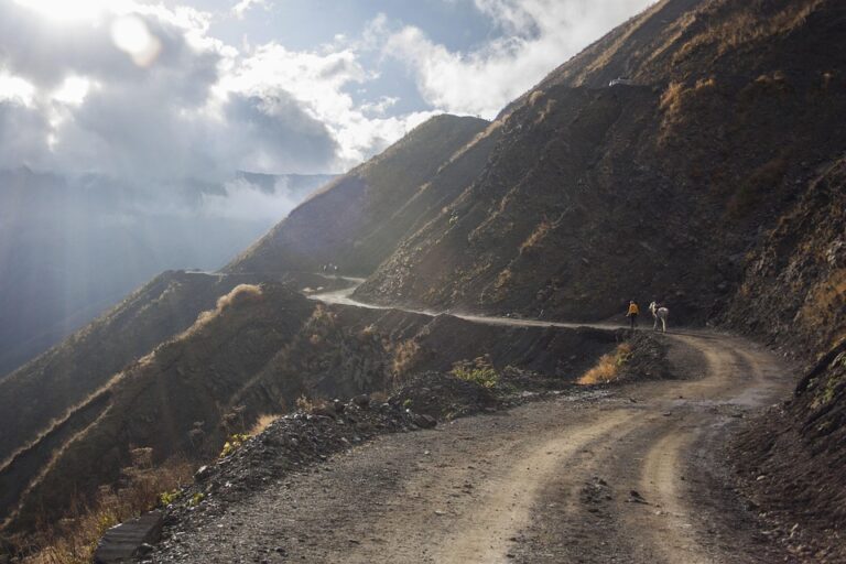 Georgia to Close EU and NATO Information Centre Amid Strained Western Relations