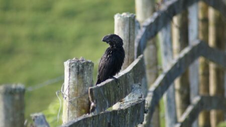 Russian Threats Drive Finland Beyond EU Deficit Limits