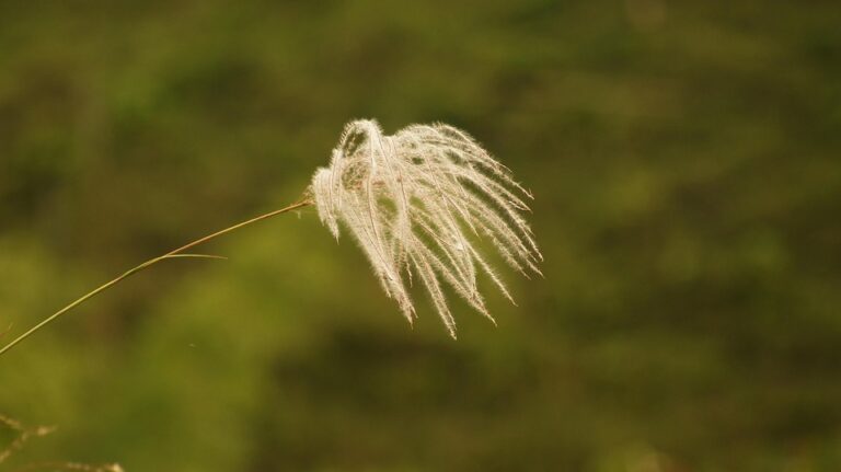 Introducing ‘Diasporan Perspectives’: The Gulbenkian Initiative Shedding New Light on Armenian Issues