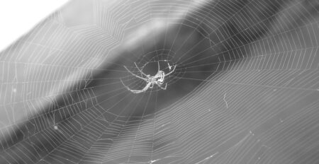 How Armenia’s Election Became a Global Spotlight