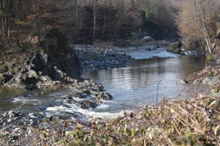 Sudden Shutdown of Al Jazeera Balkans Leaves Over 200 Media Workers in Uncertainty