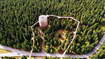 Step Inside an Eco Bungalow Inspired by a Lush Greenhouse