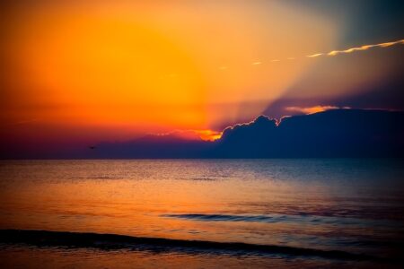 AI-driven misinformation sharply increases fraud risk in Romania – Visa study – business-review.eu