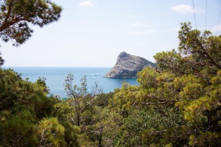 Trump’s Son Hints President Could Abandon Ukraine Support