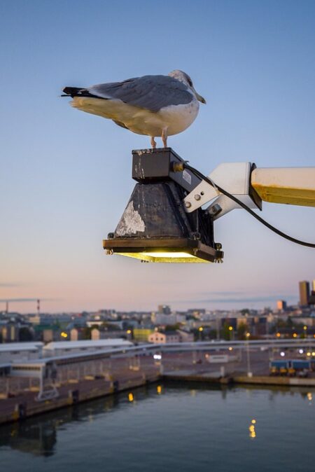 Estonia’s Inspiring Journey to the United Nations Spotlight