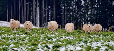 What Real Investors Really Think: Insights You Need to Know