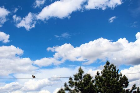 Serbia Greenlights Controversial Trump-Linked Property Project