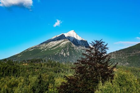 Germany vs. Slovakia: Full Lineups, Injury Updates, How to Watch, and More!