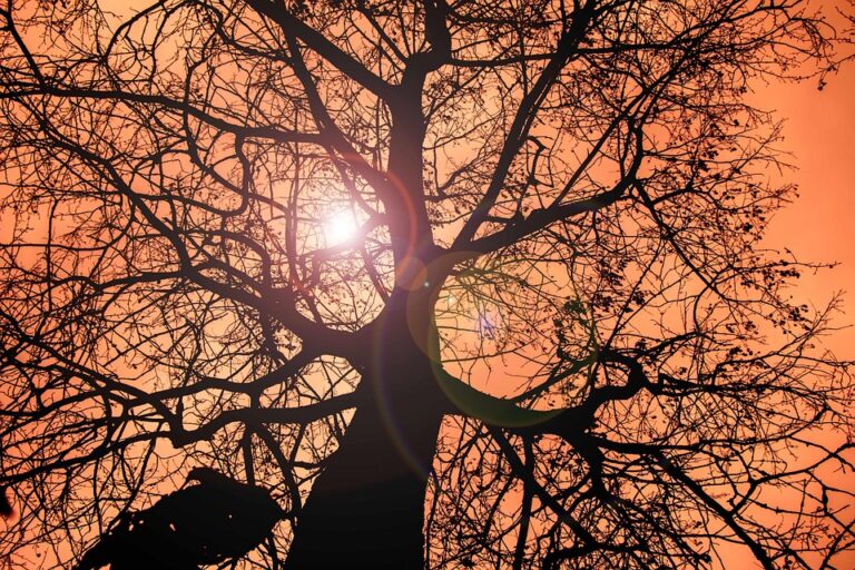 Labour Adopts Denmark’s Controversial Anti-Refugee Measures