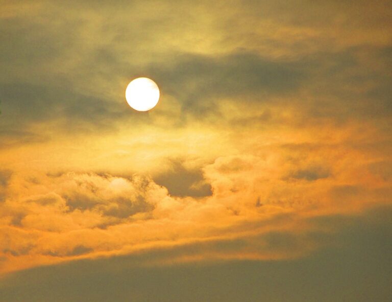 ING Names New Head of Netherlands in Strategic Leadership Move