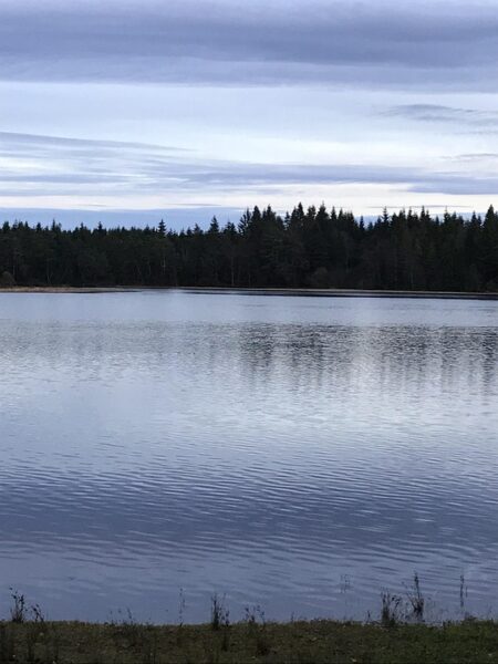 Woo Films Teams Up with Funicular for Exciting New Project ‘God’s Favorite Girl