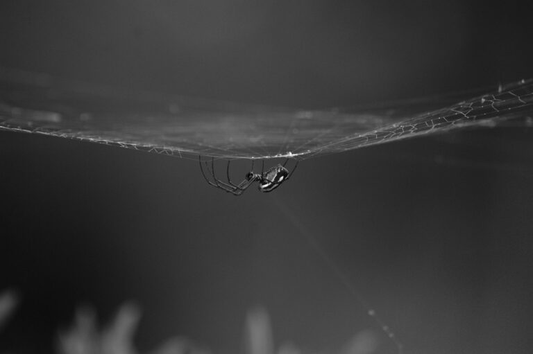 Why the World Must Stand Up for Christian Armenian Hostages in Baku