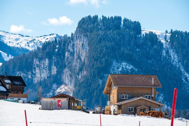 Grace Haly on the Road to Recovery After Switzerland Accident