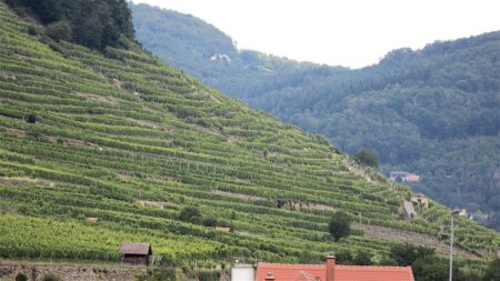 EU Court Opinion Confirms Austria’s Smart-Meter Rules Fully Protect Privacy