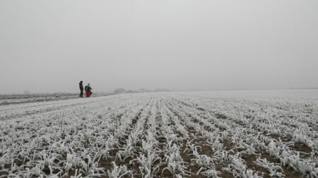 Spain, Slovakia, and the Czech Republic Lead the Charge in Europe’s Next-Generation Solar Telescope Development