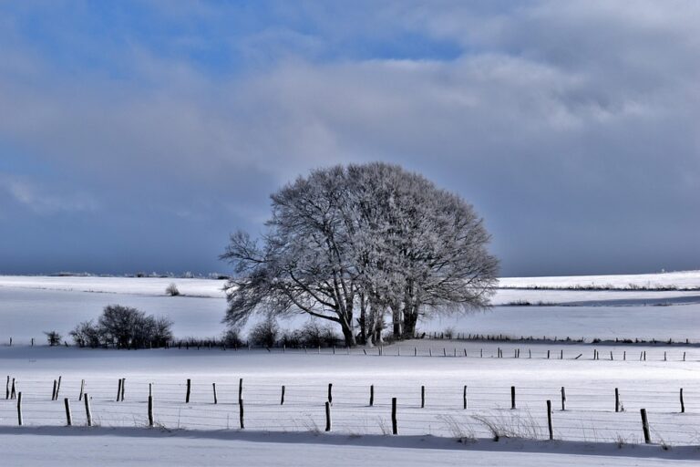 Luxembourg’s Dynamic Role in Global Development
