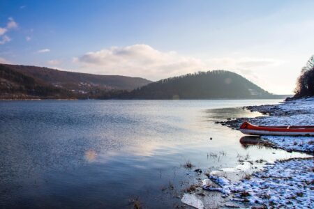 Surprising Moose Sighting Confirmed in Romania’s Hunedoara County