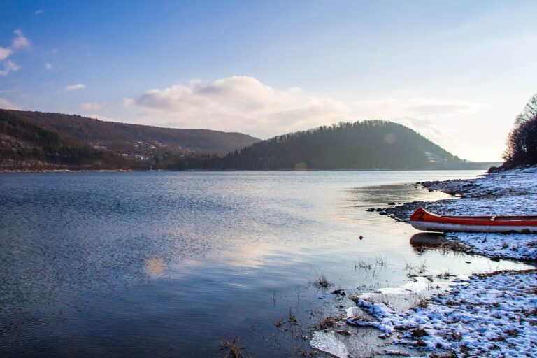 Surprising Moose Sighting Confirmed in Romania’s Hunedoara County