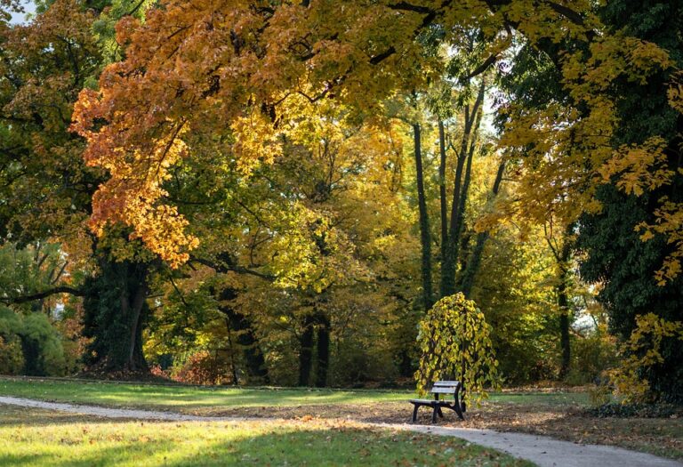 Thrilling Moments from the Czech Republic World Cup Alpine Skiing Event