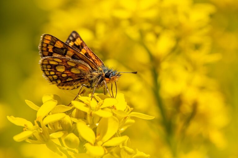 Rail Baltica to Build the Largest Rolling Stock Depot in the Baltics by 2028