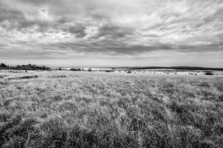 Belgium Introduces Key Technical Updates to Its Pillar Two Legislation