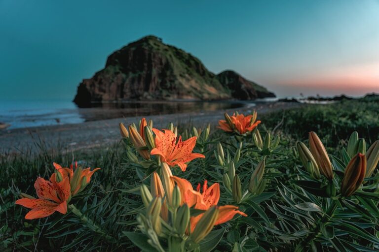 Finns Call for Closure of Russian Consulate in Ã…land Amid Rising Tensions