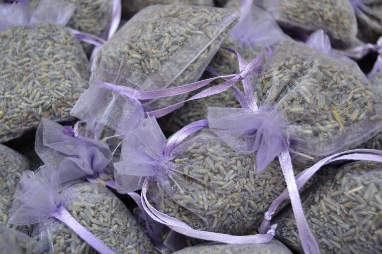 France Shakes Up Tradition: Marital Duty No Longer Required in Marriage