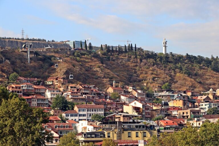 Georgia’s European Future at Risk, Warns MEP Markéta Gregorová