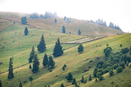 Greek Ambassador Emphasizes Urgent Repatriation of Bodies and Support for the Injured