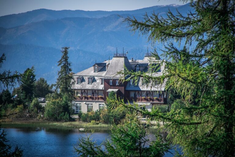 Hungary and Slovakia Push Back Against EU’s REPowerEU Oil and Gas Import Ban