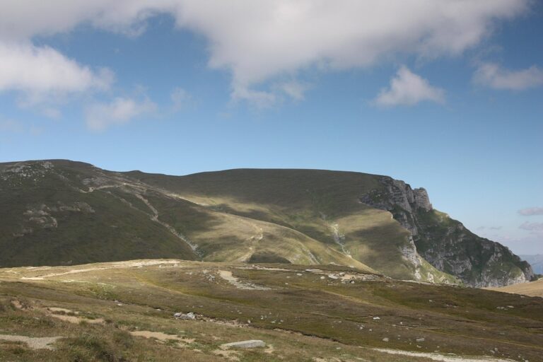 Stunning Northern Lights Illuminate Romanian Skies After Intense Solar Storm