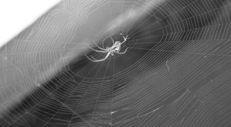 Top Armenian Bishops Under Intense Scrutiny in Investigation Committee Hearing