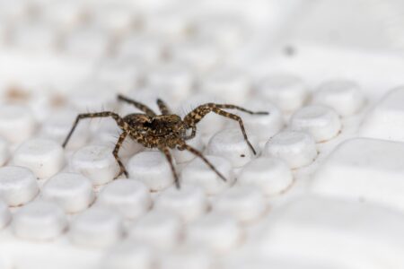 Discover Estonia’s Environmental Journey: Insights and Progress