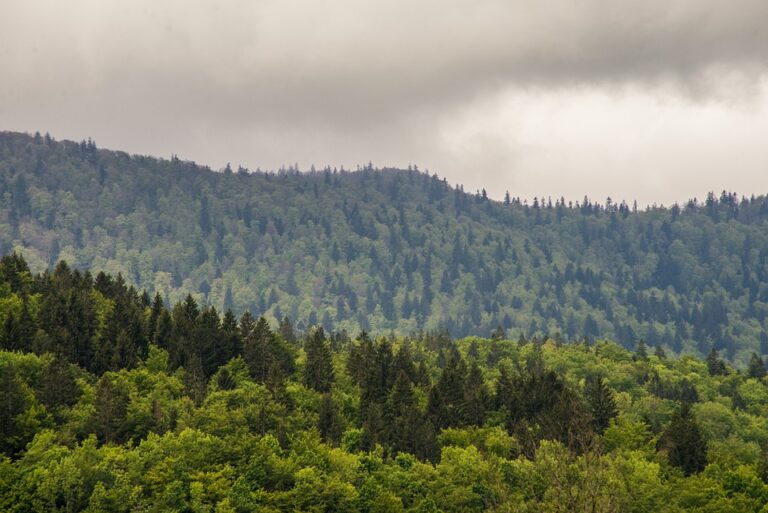 Bosnia and Herzegovina adopts new telecom consumer rules *