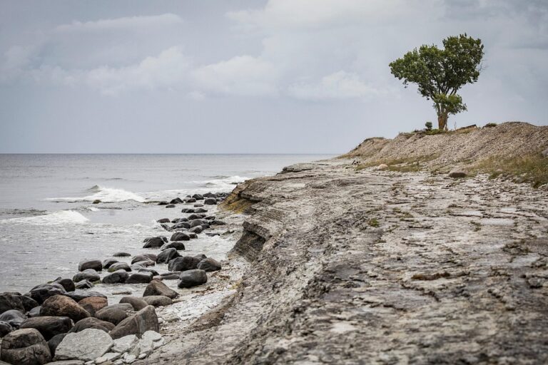 Estonia Blocks Entry to 261 Russian Soldiers Involved in Ukraine Conflict