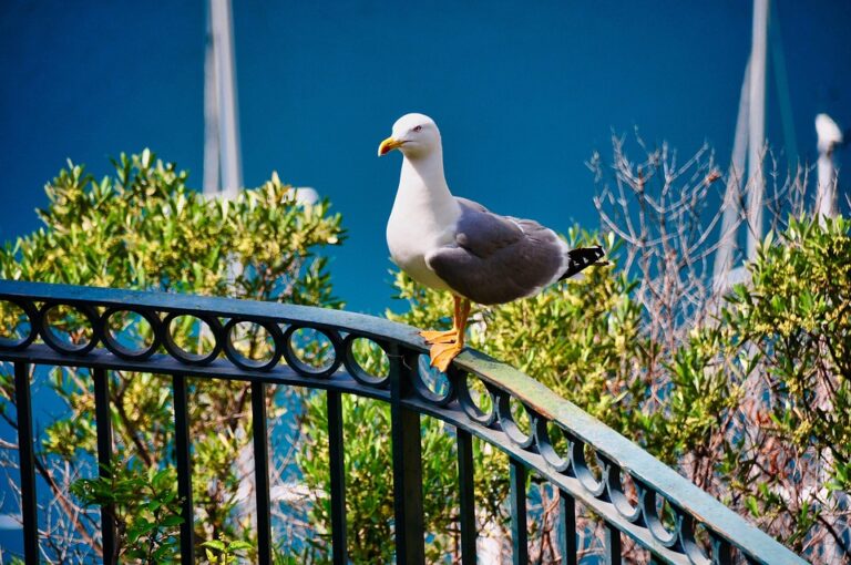 Thrilling Highlights from Valencia Basket vs. AS Monaco | Round 21, 2025-26 EuroLeague