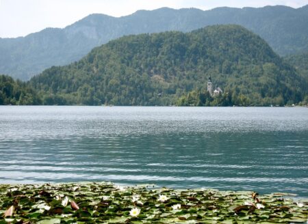 Slovenia’s Security Paradox: From Global Leadership to Domestic Challenges