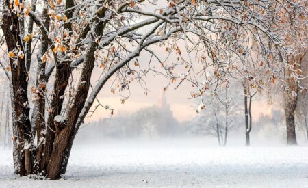 Russia Now Sees Latvia the Same Way It Saw Ukraine Before the Invasion