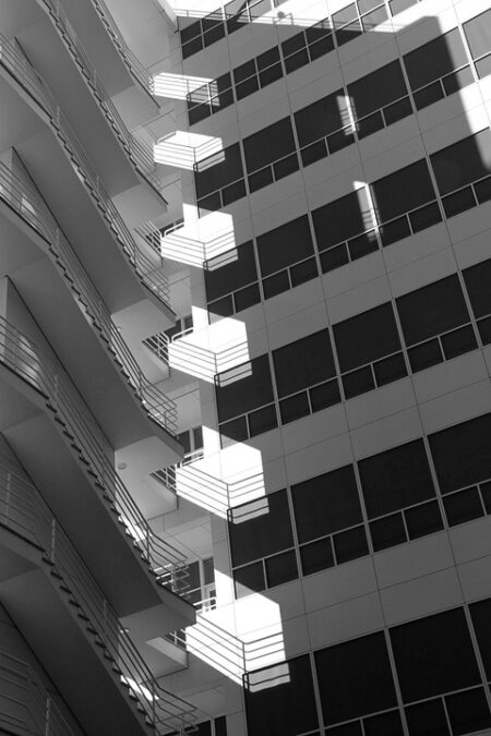 Exploring Vibrant Exhibits and Panels in India and the Netherlands